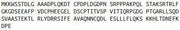 Recombinant Transient Receptor Potential Cation Channel Subfamily V, Member 1 (TRPV1), RPU54111