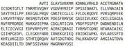 Recombinant ATPase, Ca++ Transporting, Plasma Membrane 2 (ATP2B2), RPU54113