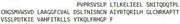 Recombinant Interleukin 13 (IL13), RPU54138