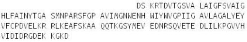 Recombinant Aquaporin 4 (AQP4), RPU54160