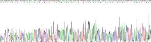 Recombinant Rat Programmed Cell Death Protein 1 Ligand 1 (PDL1)