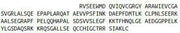Recombinant Relaxin (RLN), RPU54177