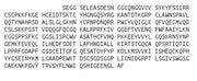 Recombinant Plasminogen Activator, Urokinase (uPA), RPU54221