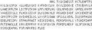 Recombinant Protein Kinase C Delta (PKCd), RPU54240