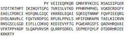 Figure 1. SDS-PAGE