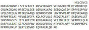 Recombinant Liver X Receptor Alpha (LXRa), RPU54259