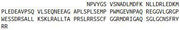 Recombinant Natriuretic Peptide Precursor A (NPPA), RPU54309