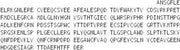 Recombinant Prothrombin Fragment 1+2 (F1+2), RPU54328