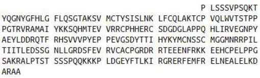 Recombinant Tumor Protein p53 (P53), RPU54340