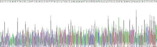 Recombinant Chicken Epithelial Cell Adhesion Molecule (EPCAM)
