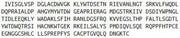 Recombinant Low Density Lipoprotein Receptor Related Protein 5 (LRP5), RPU54382
