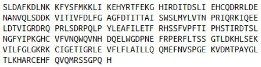 Recombinant Cytochrome P450 1A1 (CYP1A1), RPU54387