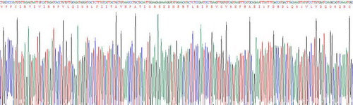 Recombinant Human Angiogenic Factor With G Patch And FHA Domains 1 (AGGF1)