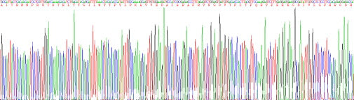Recombinant Mouse Matrix Metalloproteinase 1 (MMP1)