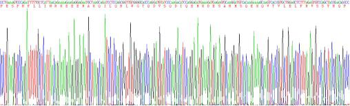 Recombinant Human Glucose Transporter 3 (GLUT3)