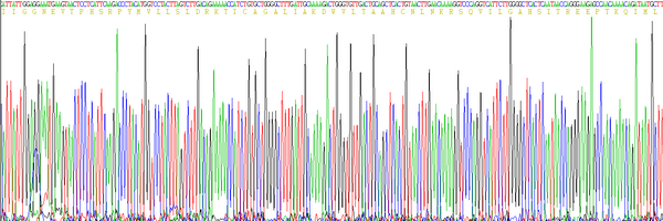 Eukaryotic Granzyme A (GZMA), RPU54414