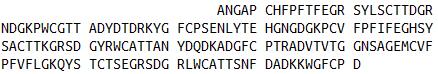Eukaryotic Matrix Metalloproteinase 9 (MMP9), RPU54417