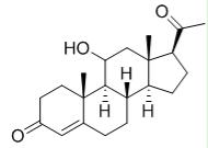 BSA Conjugated 11-Hydroxyprogesterone (11-OHP), RPU54420