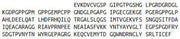 Recombinant Pulmonary Surfactant Associated Protein A1 (SFTPA1), RPU54436