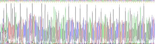 Recombinant Human Pulmonary Surfactant Associated Protein A1 (SFTPA1)
