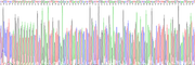 Eukaryotic Matrix Metalloproteinase 13 (MMP13), RPU54447