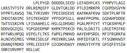 Eukaryotic Rat Matrix Metalloproteinase 13 (MMP13)