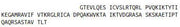 Recombinant Chemokine (C motif) ligand (XCL1), RPU54467