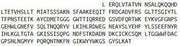 Recombinant Angiopoietin 2 (ANGPT2), RPU54479