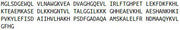 Recombinant Myoglobin (MYO), RPU54498