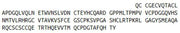 Recombinant Mucin 5 Subtype B (MUC5B), RPU54506