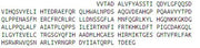 Recombinant Aryl Hydrocarbon Receptor (AhR), RPU54518