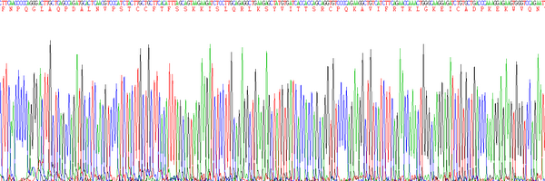 Eukaryotic Monocyte Chemotactic Protein 4 (MCP4), RPU54550