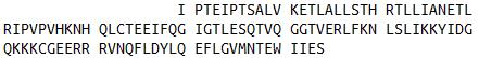 Eukaryotic Interleukin 5 (IL5), RPU54551