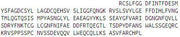 Recombinant Von Willebrand Factor (vWF), RPU54569