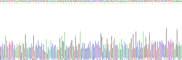 Mouse Tumor Necrosis Factor Alpha (TNFa), Active Protein