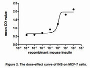The dose-effect curve of INS was shown in Figure 2. It was obvious that INS significantly promoted cell proliferation of MCF-7 cells. The ED50 for this effect is typically 11.71 to 57.11 ng/mL.
