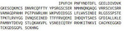 Recombinant Coagulation Factor XI (F11), RPU54619