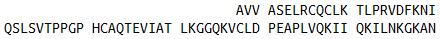 Eukaryotic Chemokine (C-X-C Motif) Ligand 2 (CXCL2), RPU54634