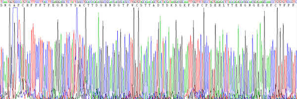 Eukaryotic Matrix Metalloproteinase 9 (MMP9), RPU54635