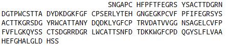 Eukaryotic Mouse Matrix Metalloproteinase 9 (MMP9)
