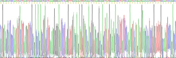 Eukaryotic Growth Factor Receptor Bound Protein 2 (Grb2), RPU54636