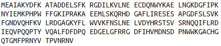Eukaryotic Human Growth Factor Receptor Bound Protein 2 (Grb2)