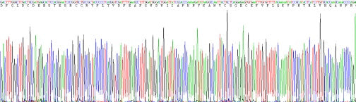 Recombinant Pig Myostatin (MSTN)