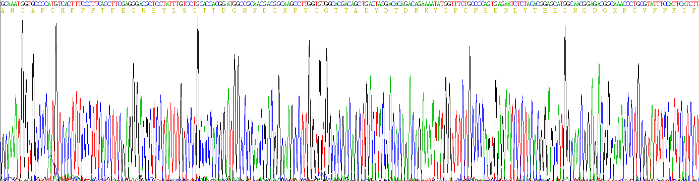 Figure. Gene Sequencing (Extract)
