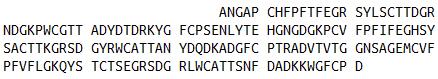 Recombinant Rat Matrix Metalloproteinase 9 (MMP9)