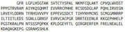 Recombinant Tumor Protein p53 (P53), RPU54677