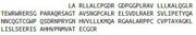 Recombinant Anti-Mullerian Hormone (AMH), RPU54684