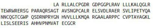 Recombinant Anti-Mullerian Hormone (AMH), RPU54684