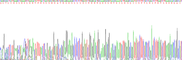 Eukaryotic Interferon Gamma (IFNg), RPU54686