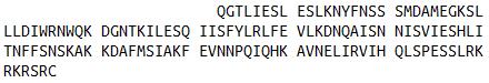 Eukaryotic Rat Interferon Gamma (IFNg)